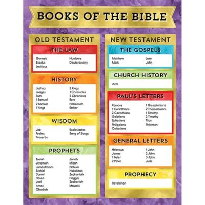 Which Bible Has All the Books: A Diverse Exploration of the Holy Scriptures